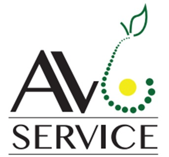 AV Service